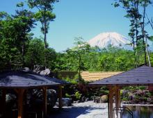 【Experience Japan】Mt.Fuji, Gotemba Premium Outlets® & Onsen in Yamanakako 1-Day