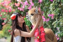 神戸どうぶつ王国