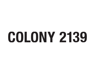 Colony 2139 ( コロニートゥーワンスリーナイン )