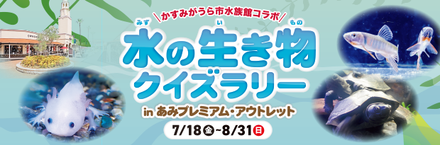 【かすみがうら市水族館コラボ】水の生き物クイズラリー in あみプレミアム・アウトレット 7/18（金）-8/31（日）