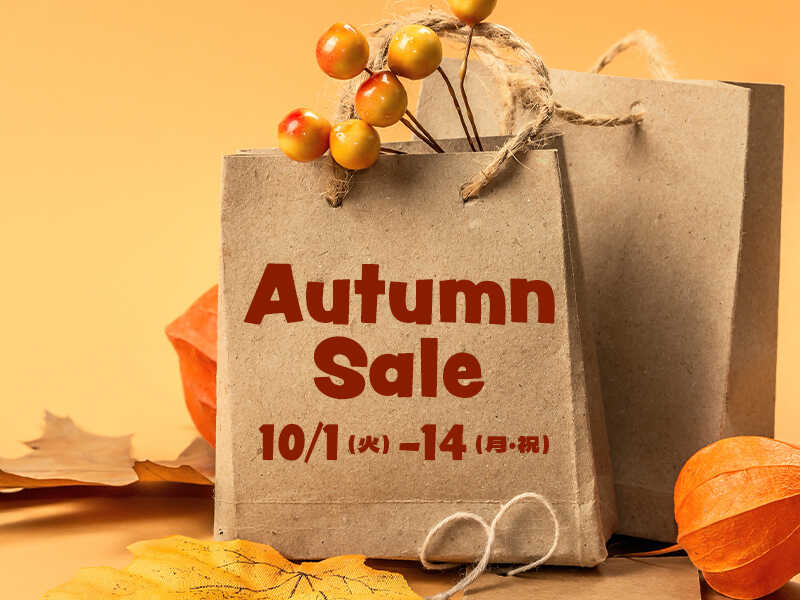 LOUIS VUITTON ルイヴィトン 空箱（ヴィトン空箱 （LOUIS VUITTON ルイ  