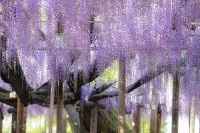 ツアーイメージ