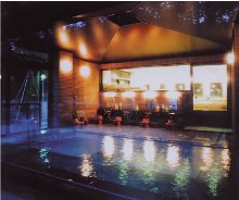 山神温泉 湯乃元館