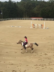 ●乗馬クラブ エクイヴィラ