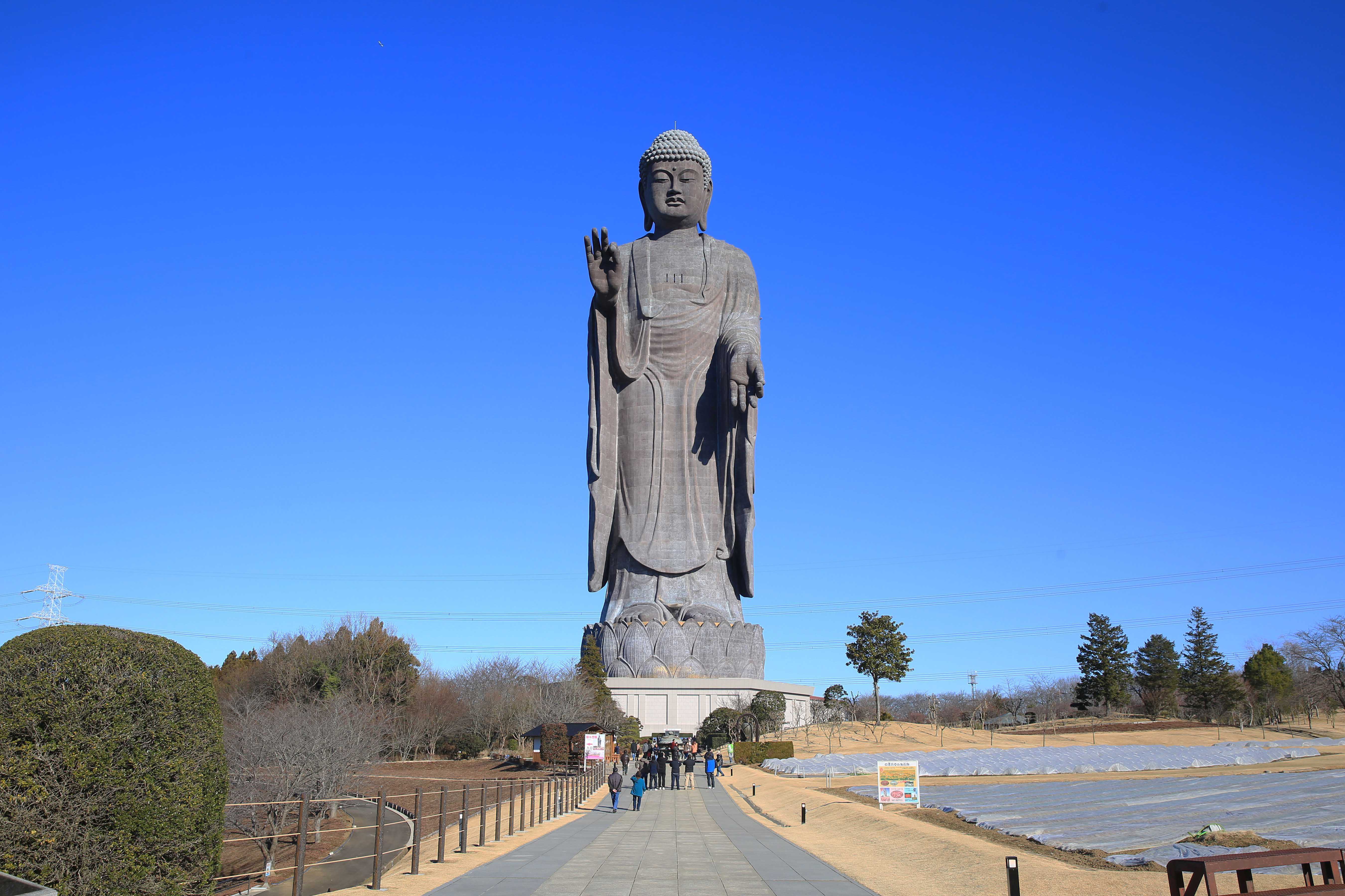 牛久大仏 - 観光情報 - ツアー＆観光情報 - あみプレミアム