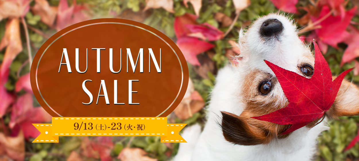 AUTUMN SALE 9/13(土)-23(火・祝)