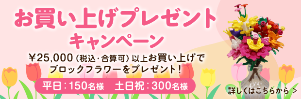 お買上げプレゼントキャンペーン ￥25,000（税込・合算可）以上お買上げでブロックフラワーをプレゼント！ 平日：150名様 土日祝：300名様 詳しくはこちらから