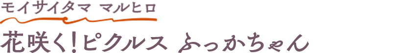 モイサイタマ マルヒロ 花咲く！ピクルス ふっかちゃん