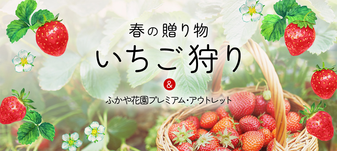 春の贈り物 いちご狩り＆ふかや花園プレミアム・アウトレット