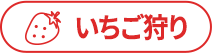 いちご狩り