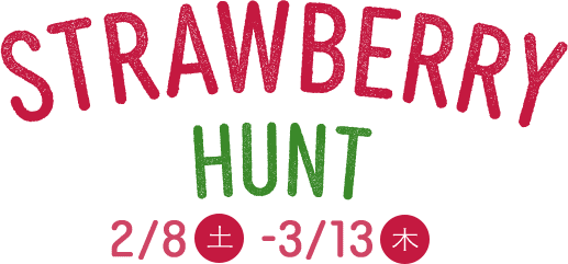 STRAWBERRY HUNT 2/8(土)～3/13(木)