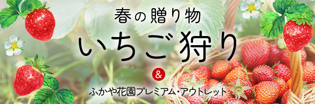 春の贈り物 いちご狩り＆ふかや花園プレミアム・アウトレット