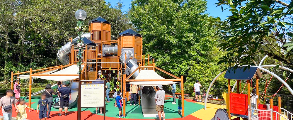 WEST ZONE PLAYGROUND