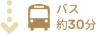 バス 約30分