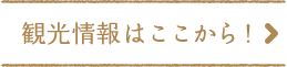 観光情報はここから！