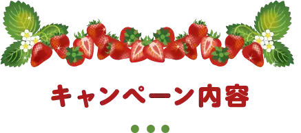 キャンペーン内容