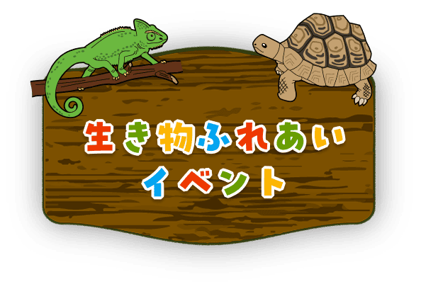生き物ふれあい イベント