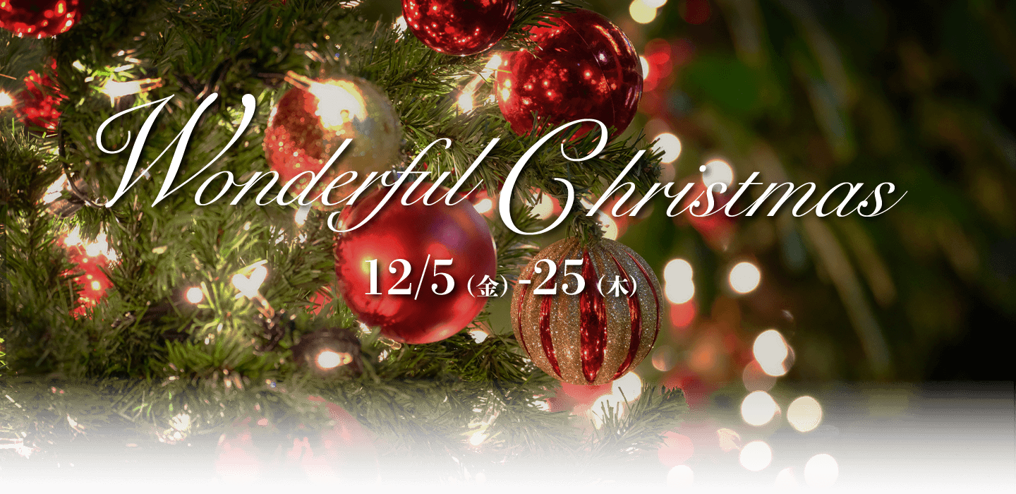 Wonderful Christmas 12/5（金）～25（木）