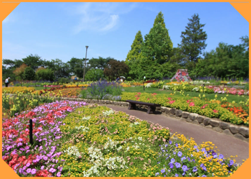 13.大阪府立花の文化園