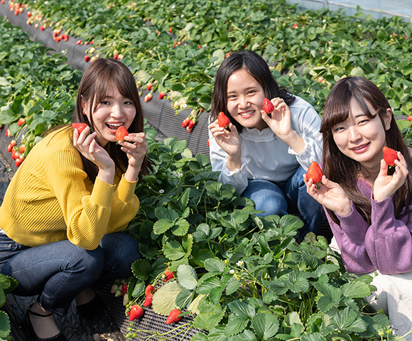 いちごの里