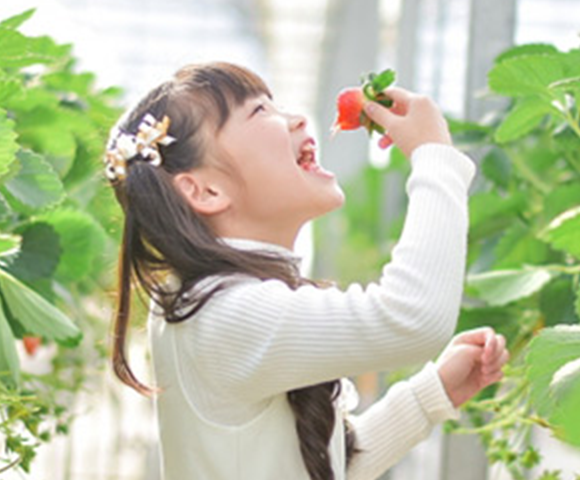 佐野観光農園アグリタウン