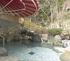 湯快リゾート 下呂彩朝楽別館