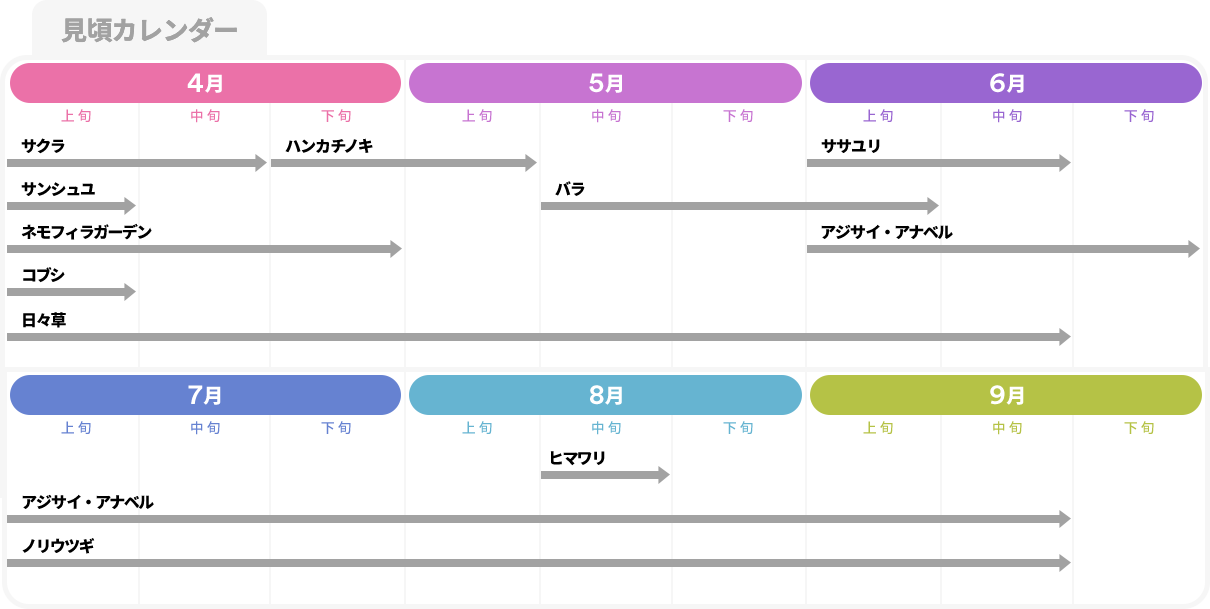 サクラ：3月下旬～4月中旬、サンシュユ：3月上旬～4月上旬、ネモフィラガーデン：3月下旬～4月中旬、コブシ：3月下旬～4月中旬、日々草：4月中旬～6月中旬、ハンカチノキ：4月下旬～5月上旬、バラ：5月上旬～6月上旬、ササユリ：6月上旬～6月中旬、アジサイ・アナベル：6月上旬～9月中旬、ノリウツギ：7月上旬～9月中旬、ヒマワリ：8月中旬